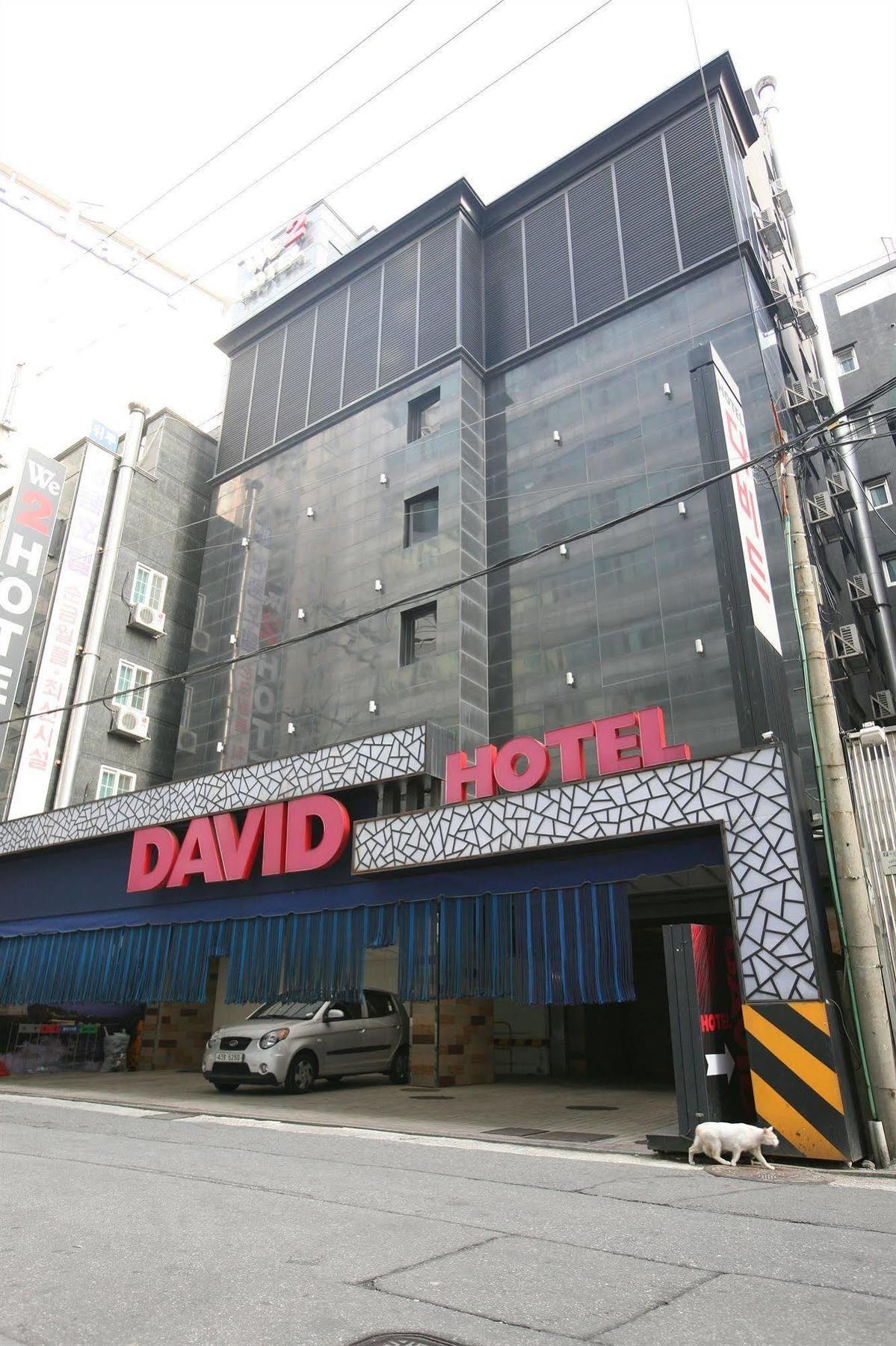 Hotel David 2*